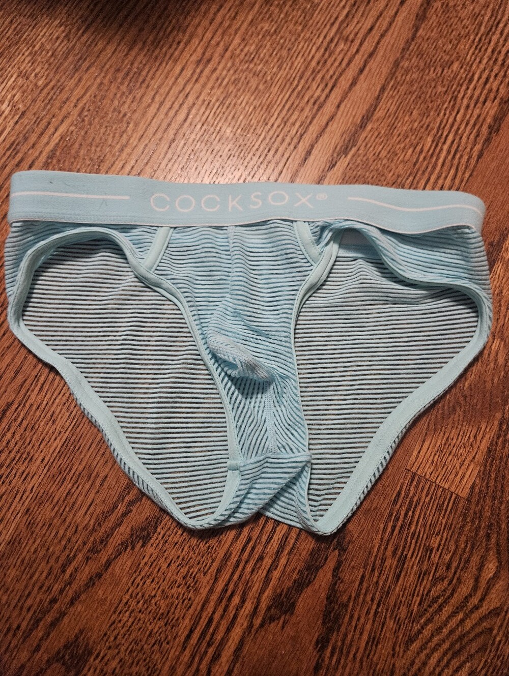 Mens Sheer Briefs